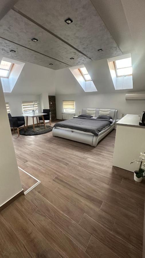 Seti Gorgeous Apartments With Jacuzzi Belgrado Buitenkant foto
